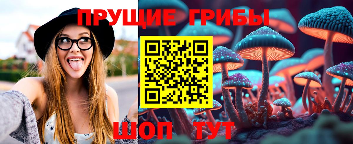 Галлюциногенные грибы MAGIC MUSHROOMS  Вход с VPN  Санкт-Петербург 